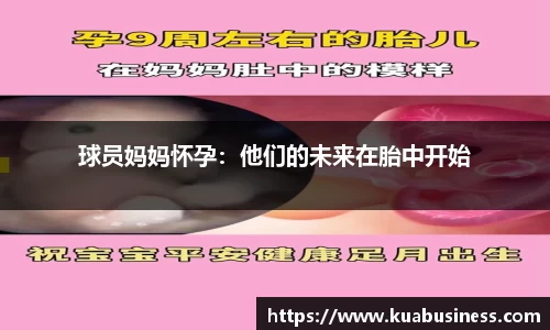 333体育官网